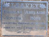 image of grave number 594083